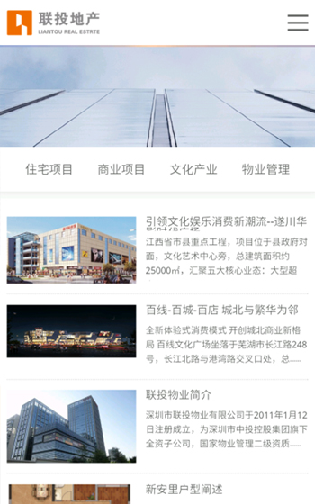 聯投地產官網網站案例圖片0