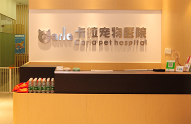 卡拉寵物網(wǎng)站設計案例