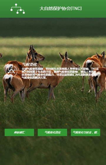 大自然保護協會網站案例圖片3