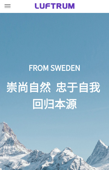 瑞松電器網站案例圖片0