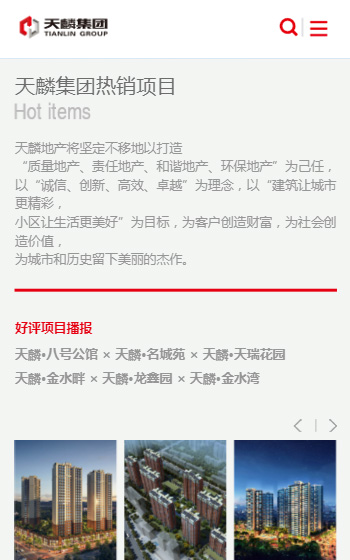 天麟投資網站案例圖片2