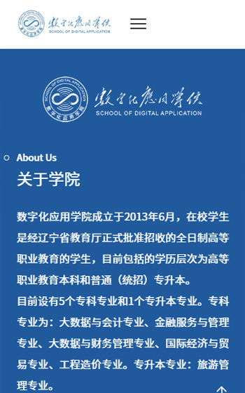 大連財(cái)經(jīng)學(xué)院網(wǎng)站案例圖片1