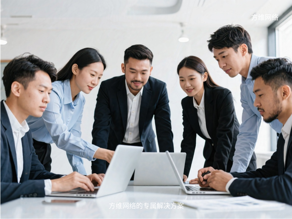 方維網絡的專屬解決方案