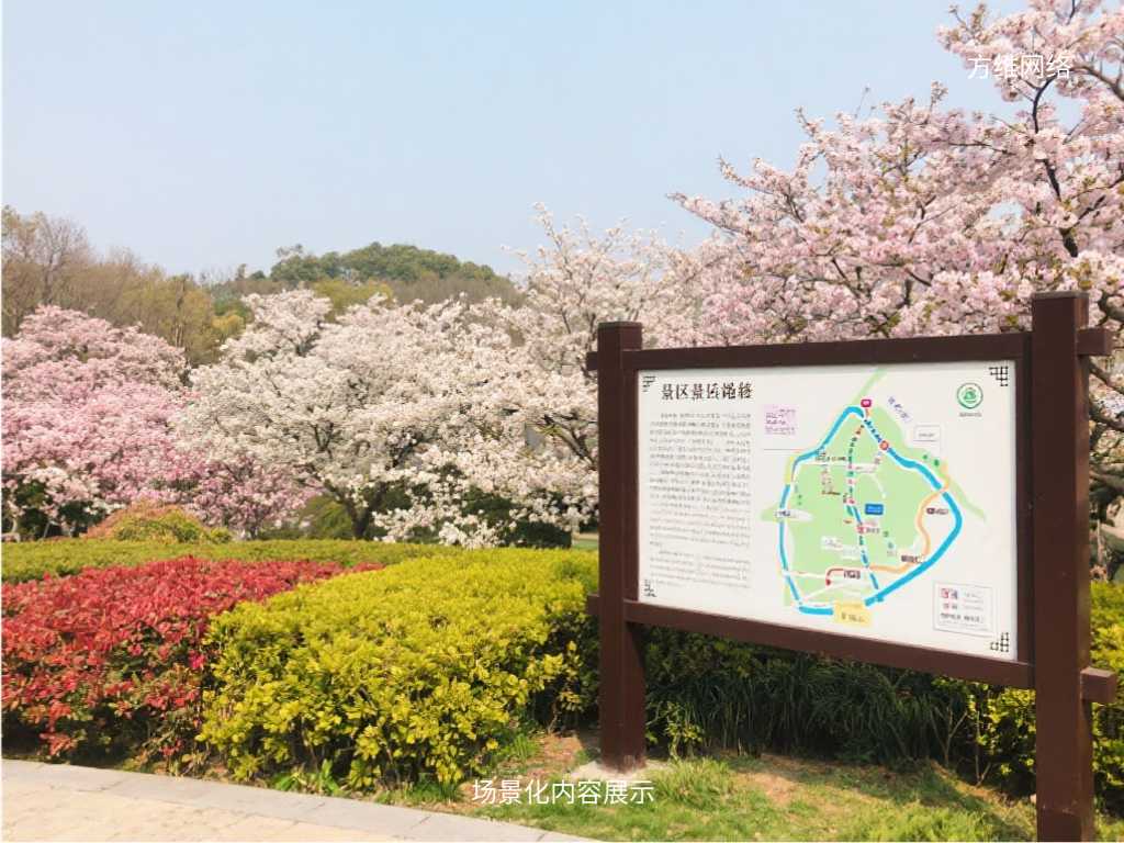 場景化內容展示