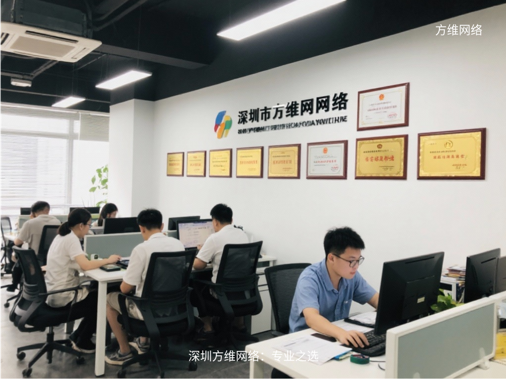 深圳方維網(wǎng)絡(luò)：專業(yè)之選
