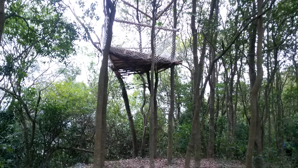 方維網絡仙湖行