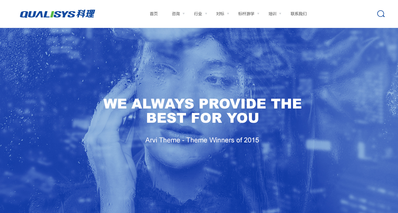 咨詢公司網站建設